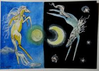 Night and Day